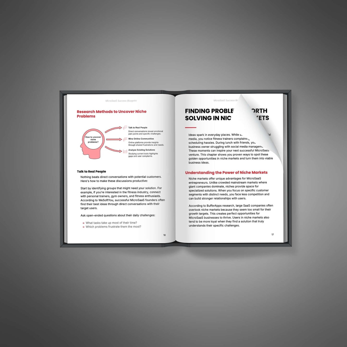 MicroSaaS Success Blueprint - Ebook